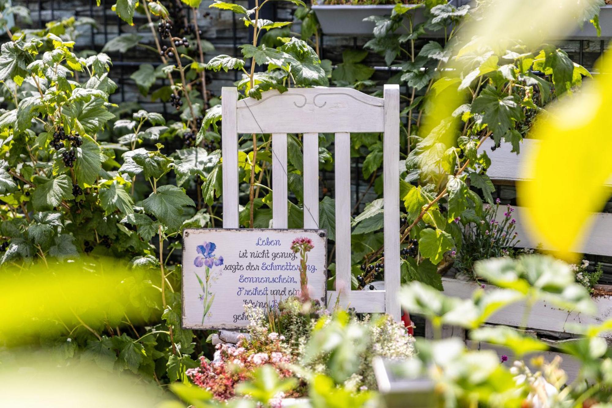 Fuer Traufgaengerle Lägenhet Albstadt Exteriör bild